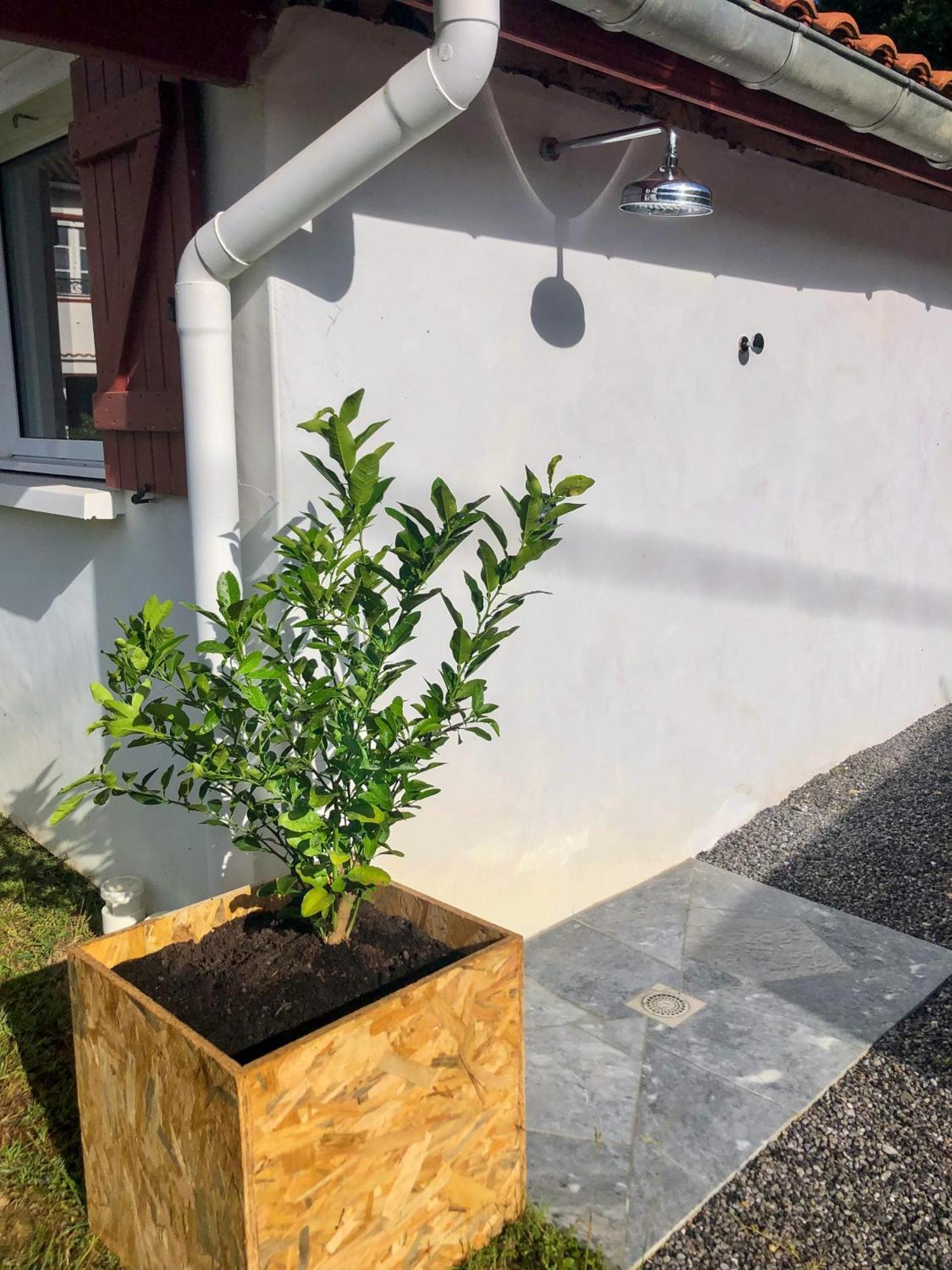 L'Adret Du Bois Hotel Sames Екстериор снимка